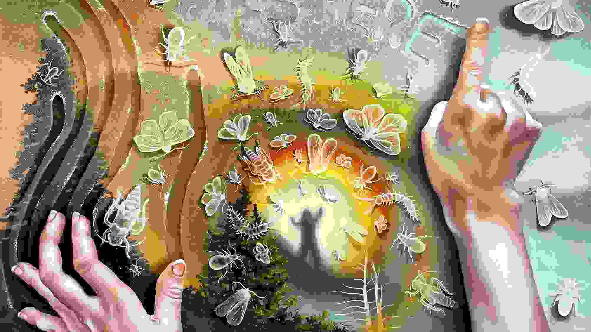 Two hands rest atop a surface, the left drawing vertical lines with their fingers, the right pointing creating the words "I Was Here" out of a sandy texture. Below this semi-transparent texture is a forested landscape with a figure standing atop a mountain as a rainbow radiates around them.
