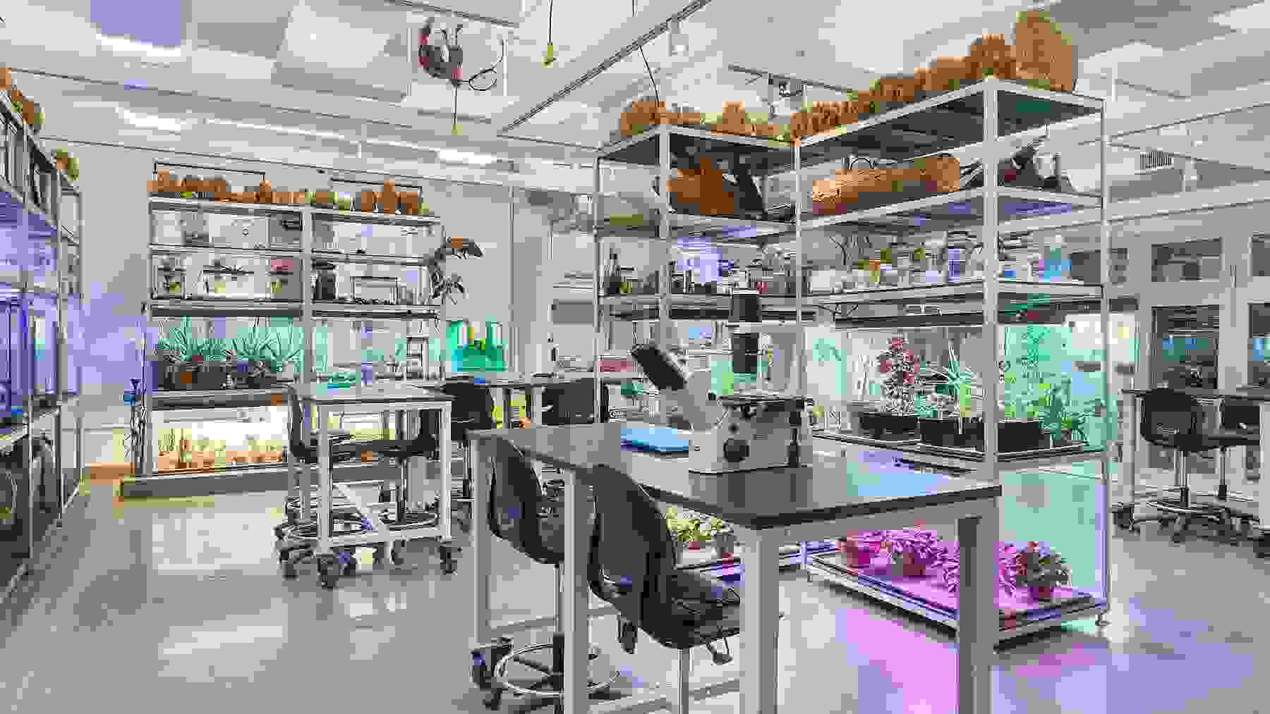 Interior view of a bio art lab, including shelving units with plants and grow lights, a lab table with a microscope, and other natural materials such as tree bark.