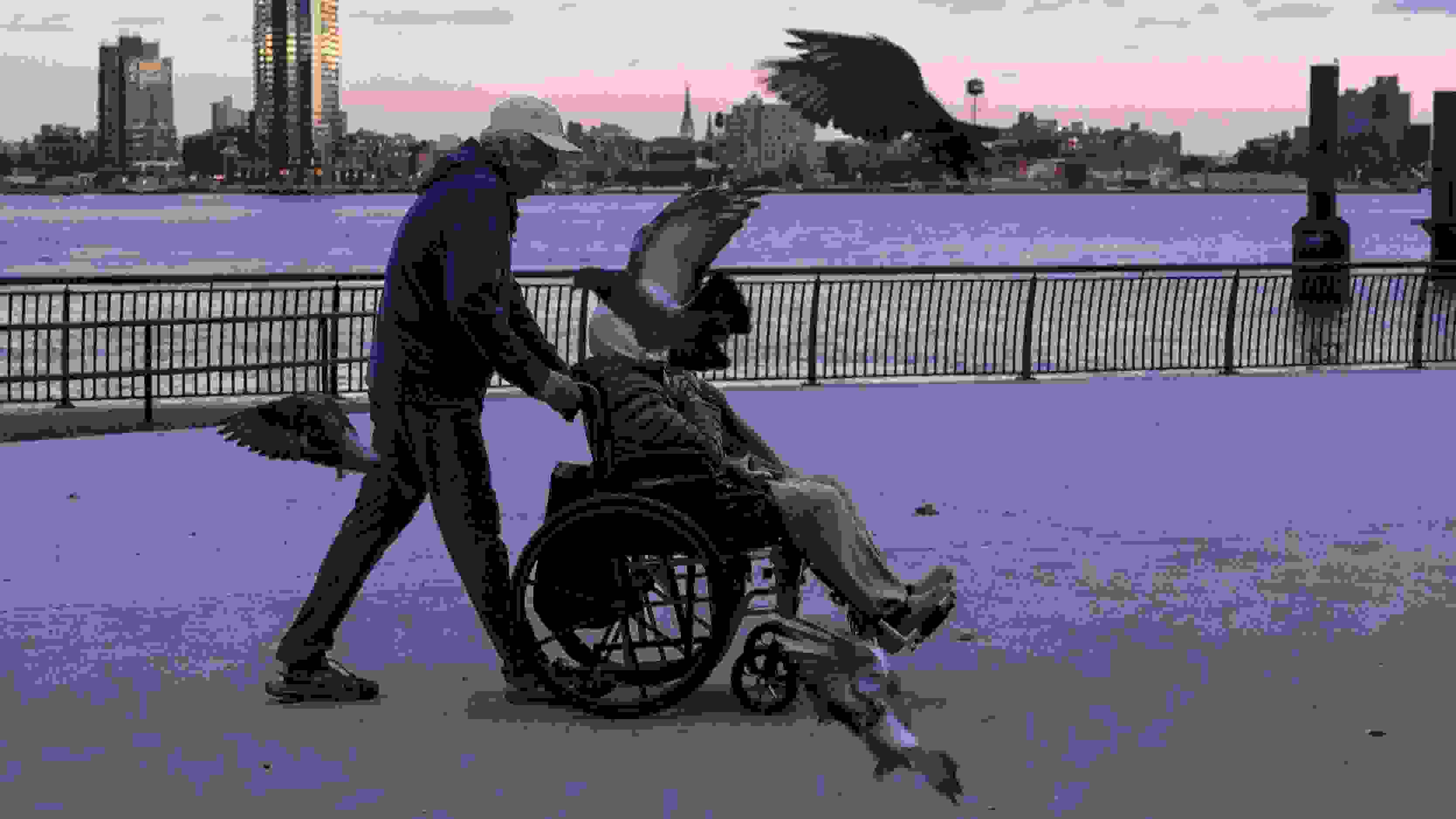 A phptograph of a pigeon flying in front of a person being pushed in a wheelchair on a boardwalk in NYC.