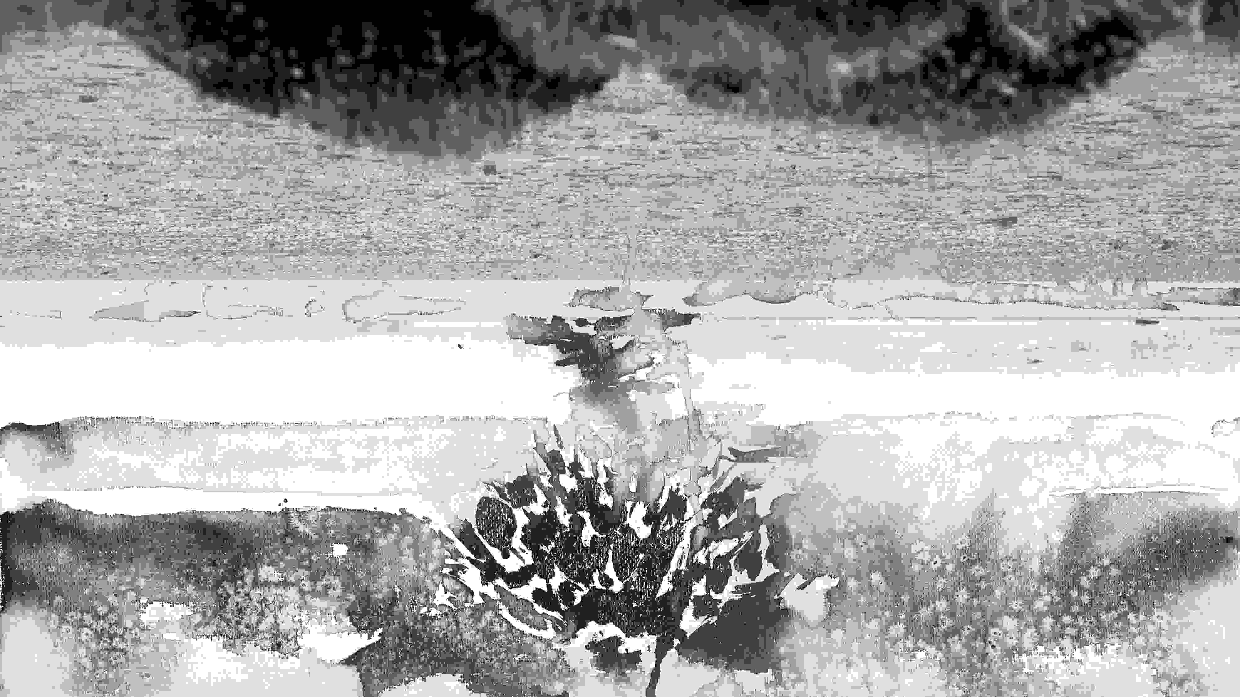 Black and white painting combined with photography, including landscape of Jamaica wildlife refuge and city views.