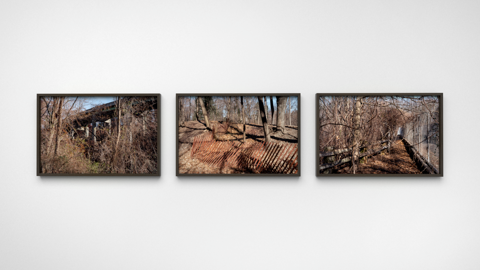 Three color photographs of the outdoors in brown wooden frames.