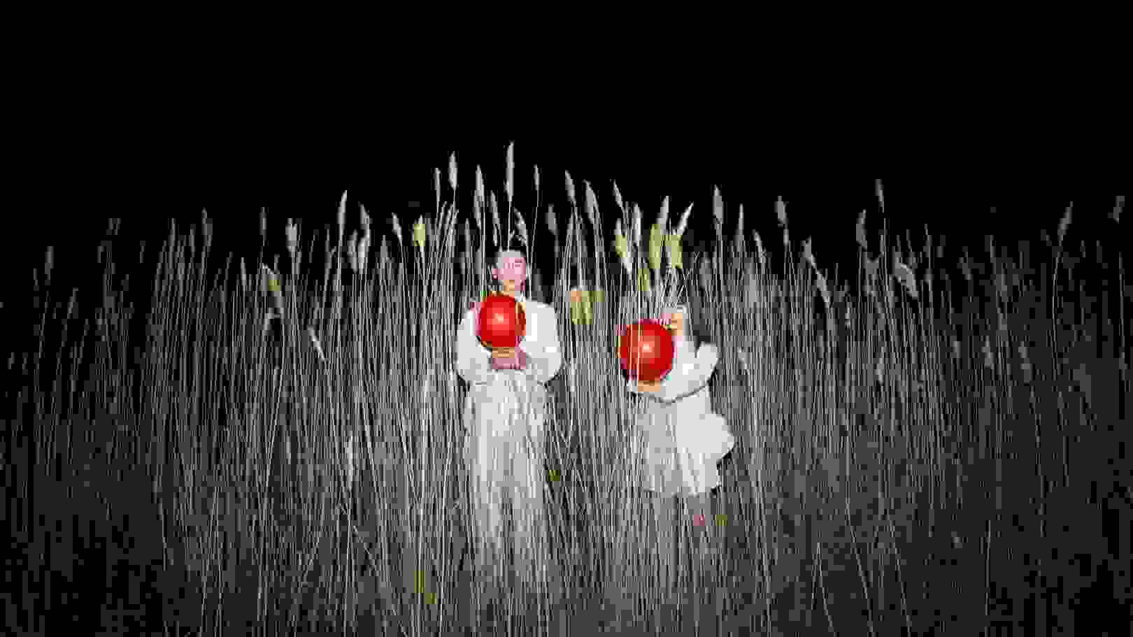 A man and a woman, both wearing white clothes and each holding a red balloon, stand in the middle of tall reeds at night.
