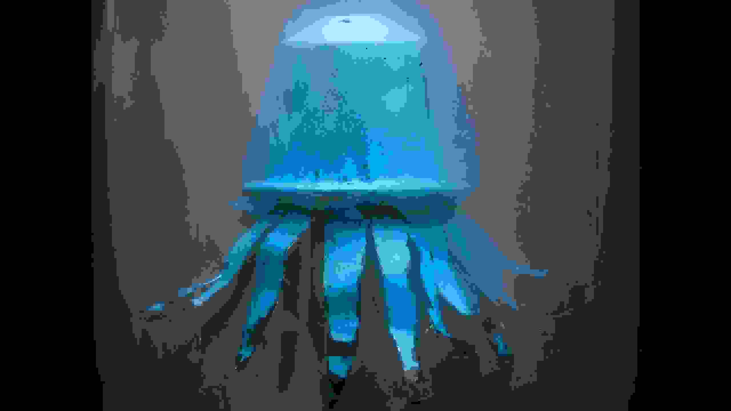 A composite photograph of a clear glass jar filled with fog against a black background. Suspended inside it is a blue coffee capsule with metal tentacles coming from the bottom, making it look like a sea creature.