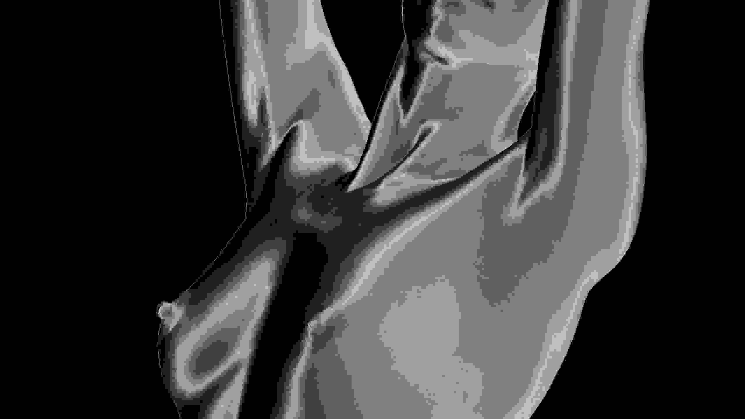 A black-and-white diptych of the same image. It is a woman’s nude torso from the knees to her chin. She is in profile with her front leg and arms raised. The versions on the left and right are negatives of each other, with one on a black background and on white background.