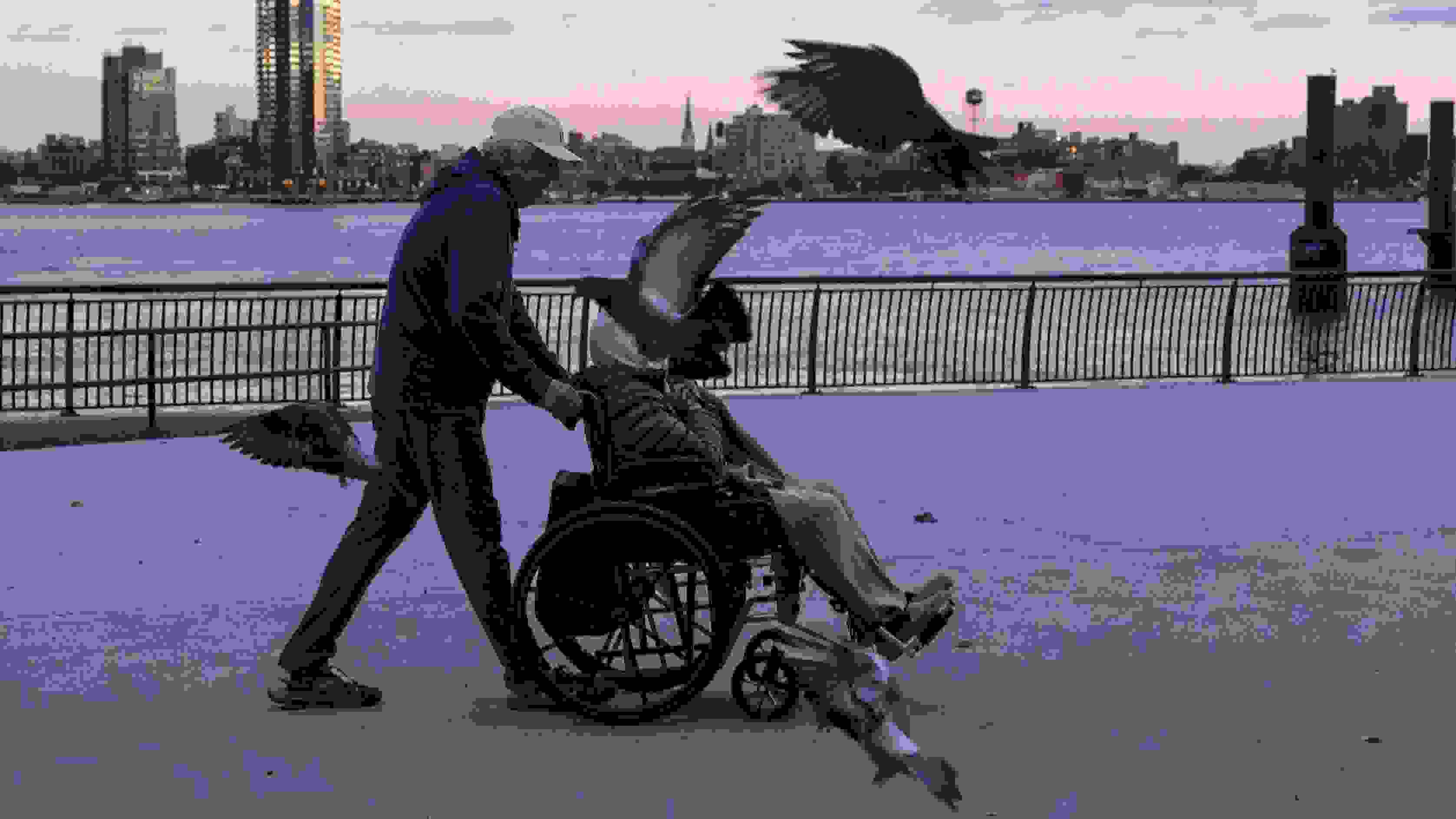 A man pushing someone in a wheelchair across a pier is partially obscured by flying pigeons.