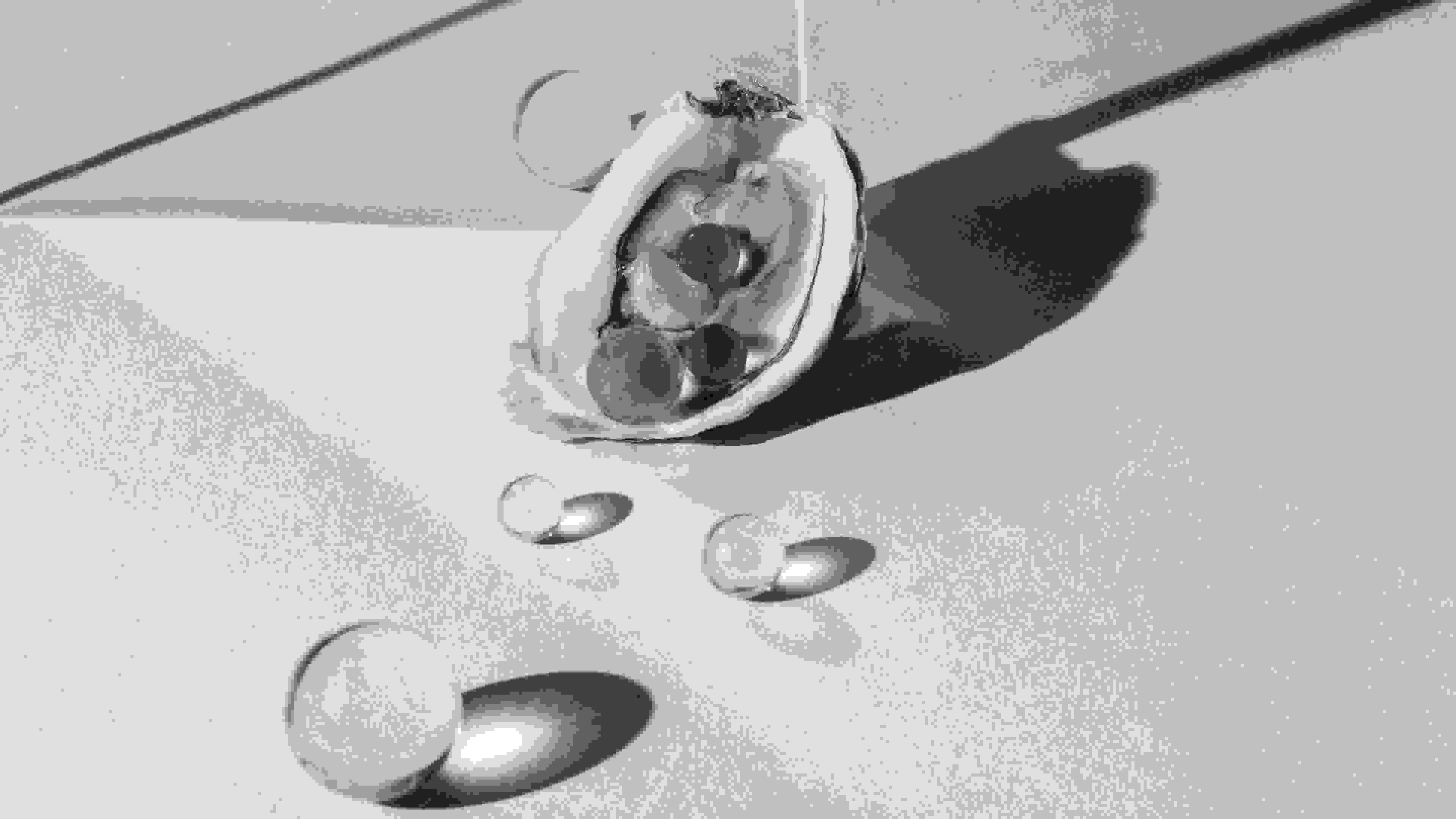 A black-and-white still life photograph of half an oyster lying open on a white surface. In the background is the other half, face down. There are eight small glass obs on the surface, with three inside the oyster shell. There is a piece of plexiglass standing on its side behind the first half of the oyster.