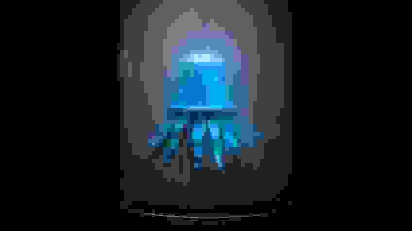 A composite photograph of a clear glass jar filled with fog against a black background. Suspended inside it is a blue coffee capsule with metal tentacles coming from the bottom, making it look like a sea creature.