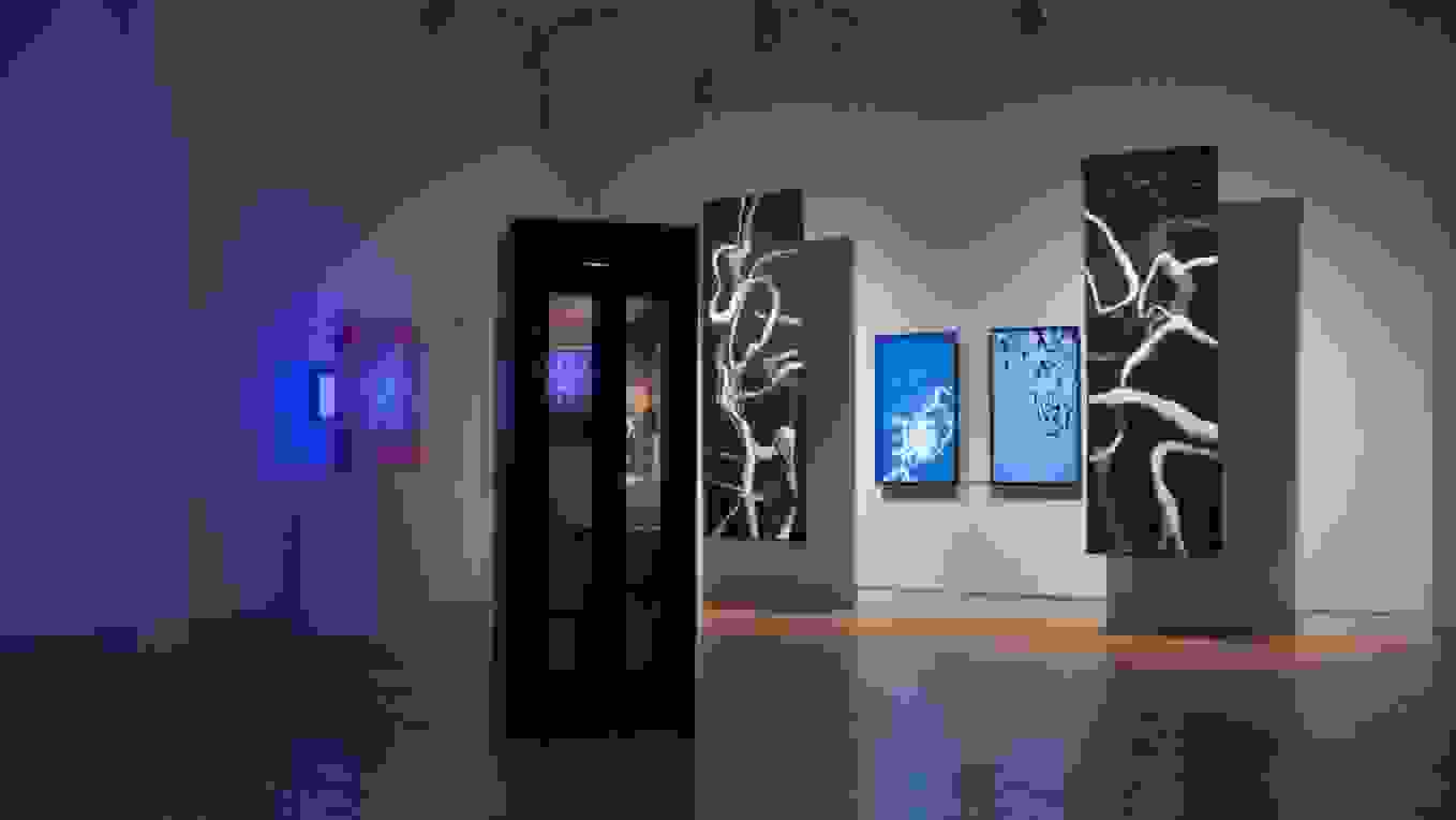 an art display with a phone booth.