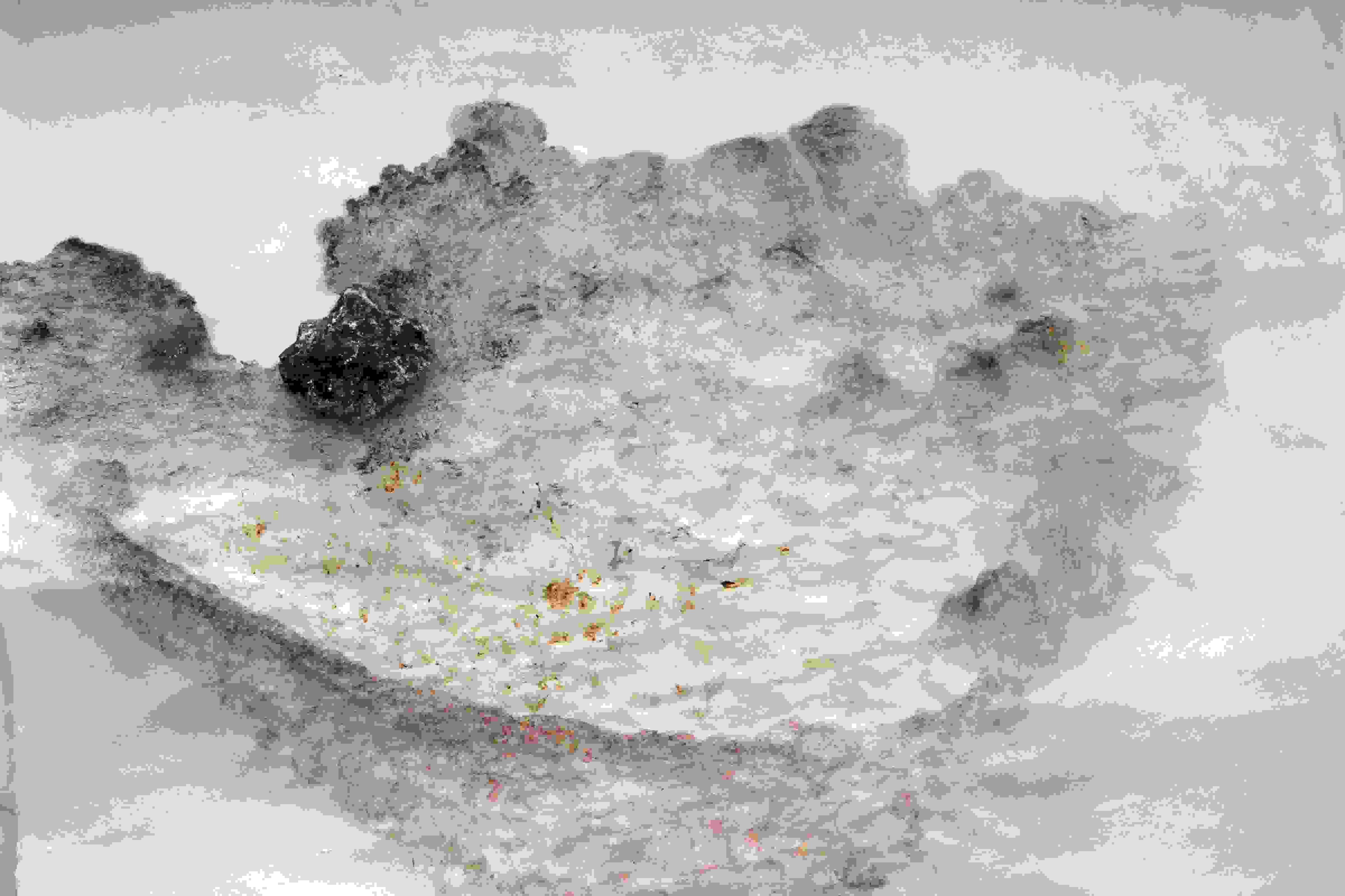 Macro shot of a fuzz type material with black soot on it over a white background.