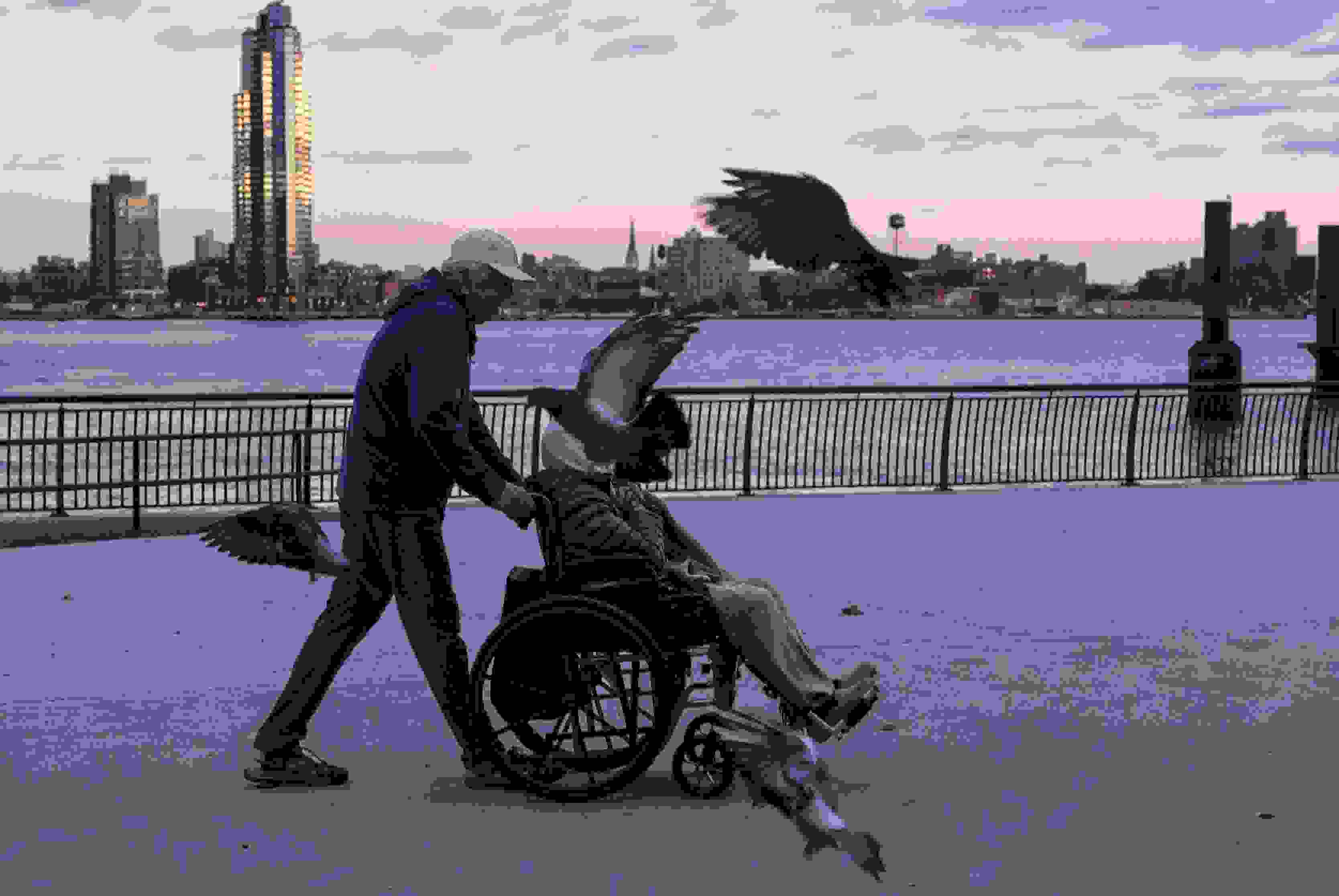 A phptograph of a pigeon flying in front of a person being pushed in a wheelchair on a boardwalk in NYC.