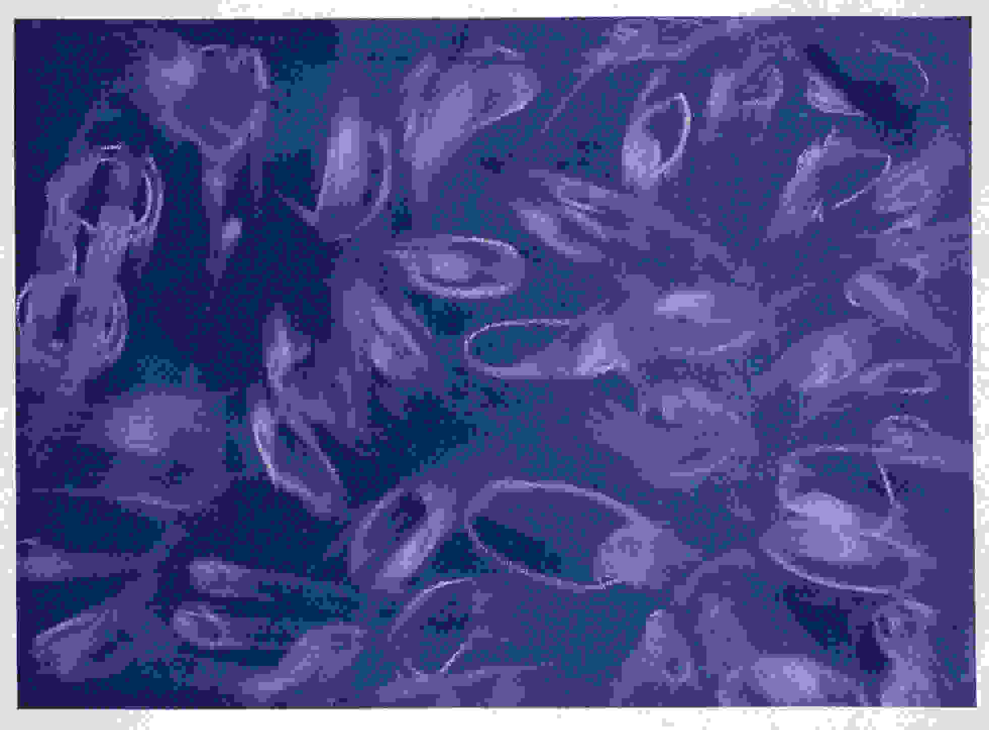 <p "="">An artwork featuring disembodied cartoon eyes, drawn in chalk on a slate background and then partially erased by hand.