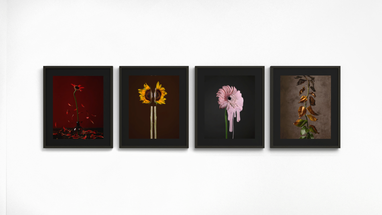 Four dimly lit photographs of flowers