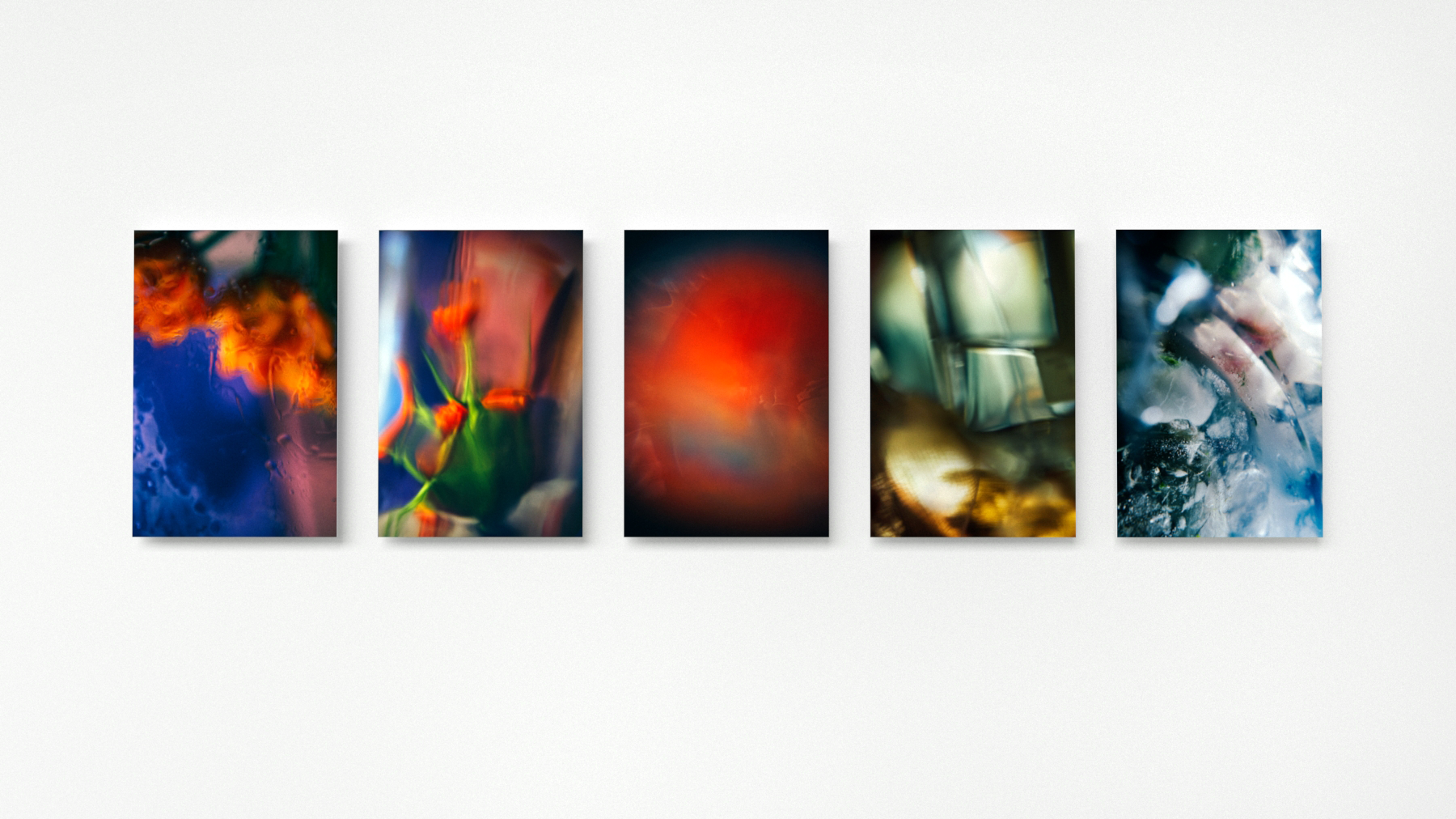 Abstract color photograph representing all the seasons