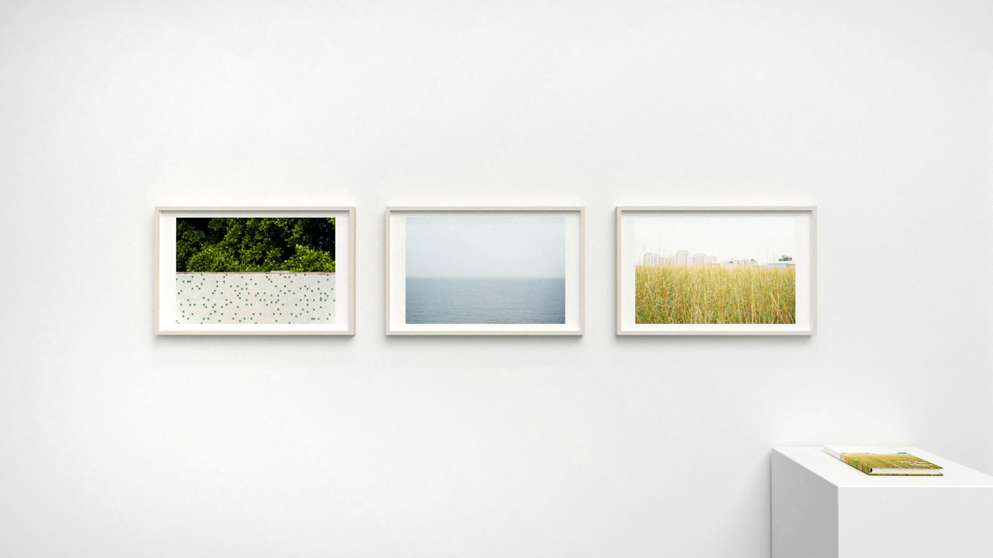 Row of three color photographs in light wood frames, and to the far right is a small book on a white pedestal