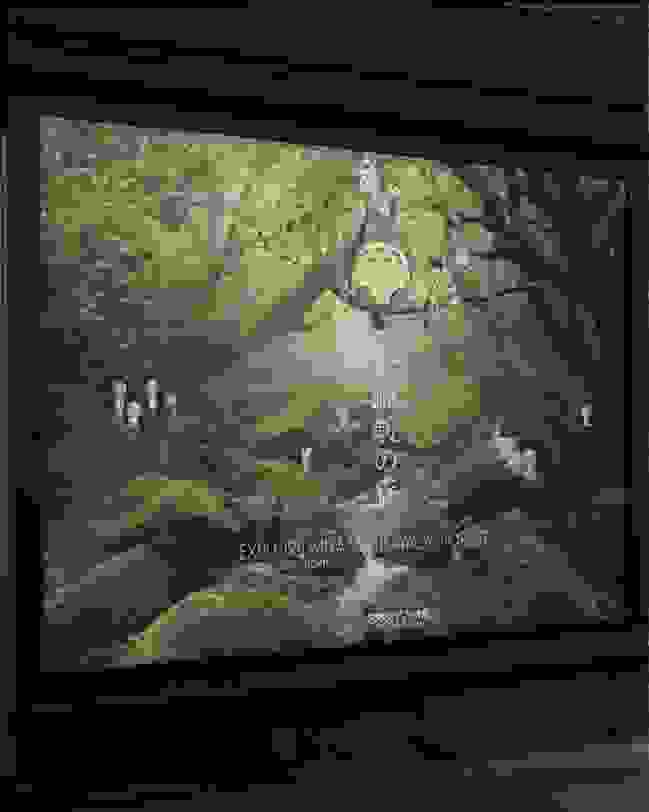 A mock-up of an advertising billboard on a newsstand; a verdant forest with whimsical creatures sitting on a tree branch and says "EXPLORE MIYAZAKI HAYAO'S FOREST."
