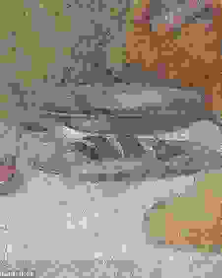 Eels, Detail from the Last Supper
