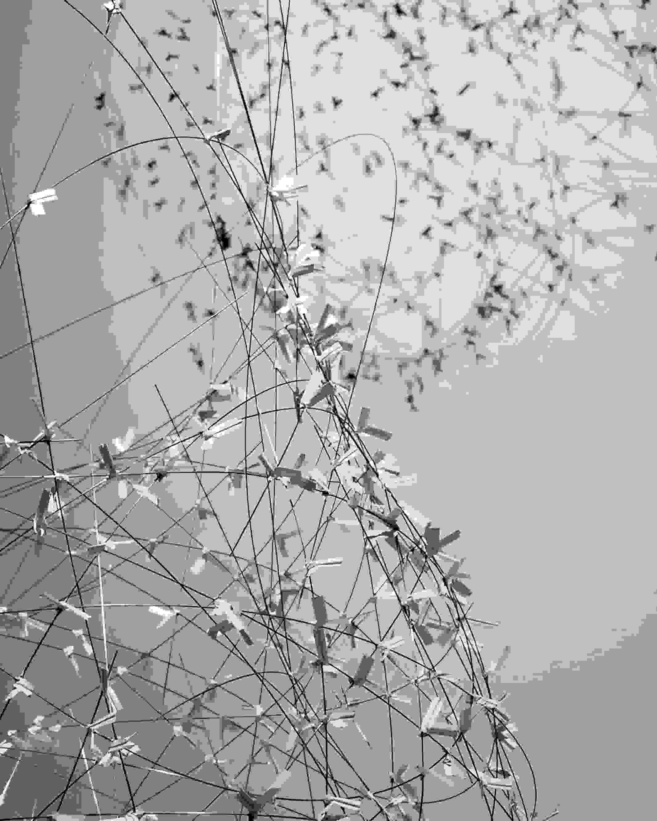 A photograph of a sculpture consisting of seemingly hundreds of abstract bird-like shapes attached to metal wire coiled in circular geometric patterns at various angles