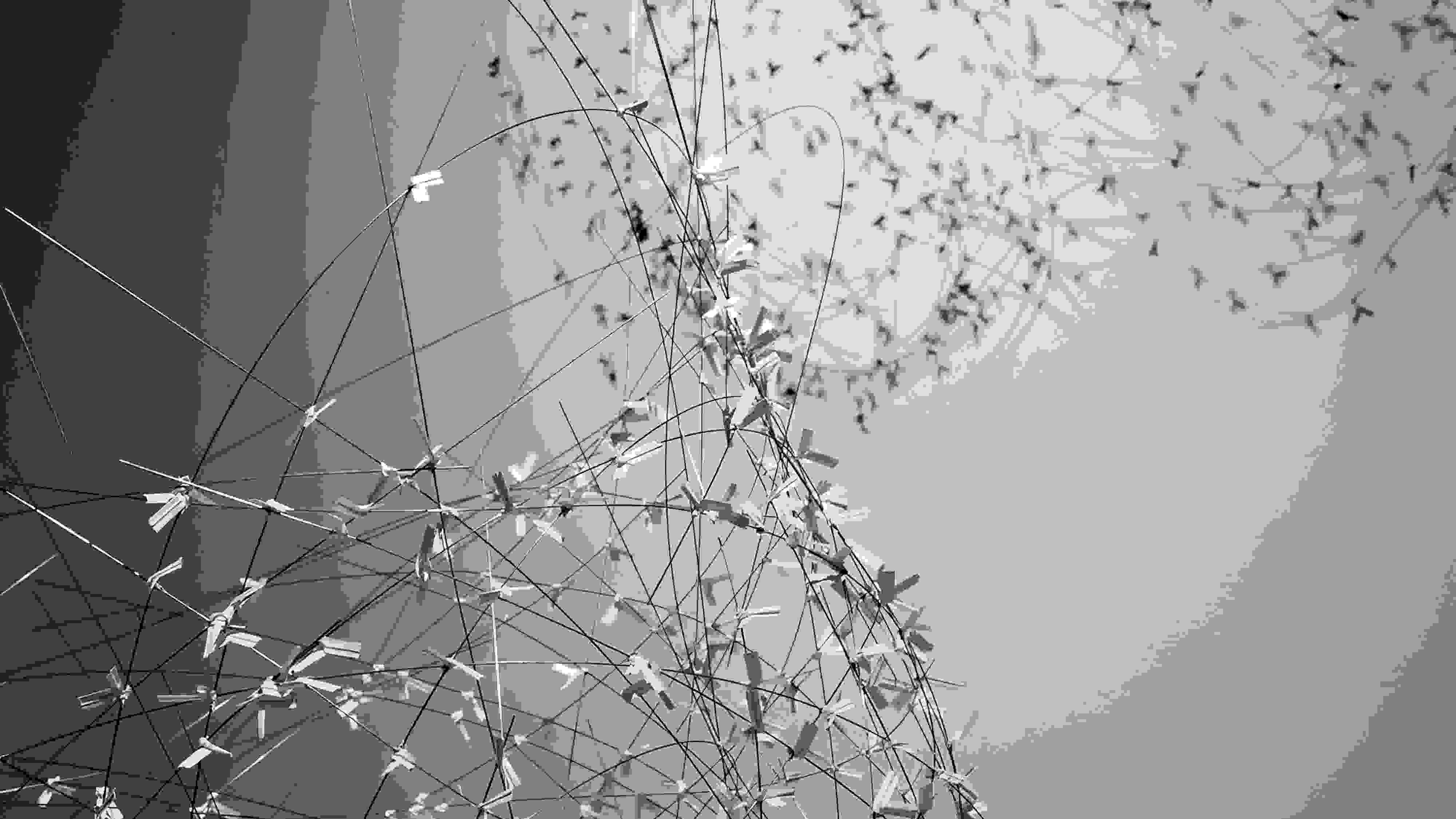 A photograph of a sculpture consisting of seemingly hundreds of abstract bird-like shapes attached to metal wire coiled in circular geometric patterns at various angles