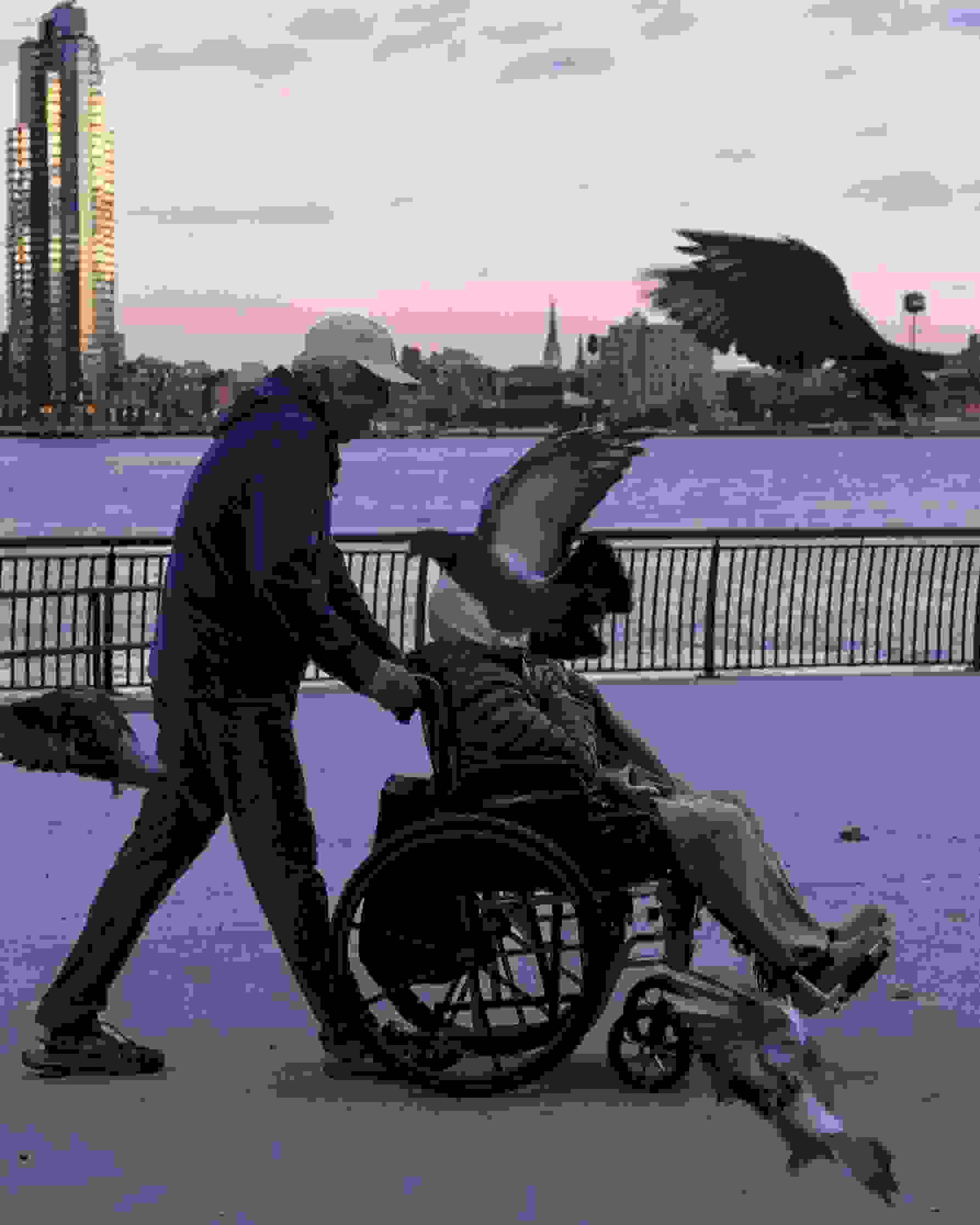 A phptograph of a pigeon flying in front of a person being pushed in a wheelchair on a boardwalk in NYC.