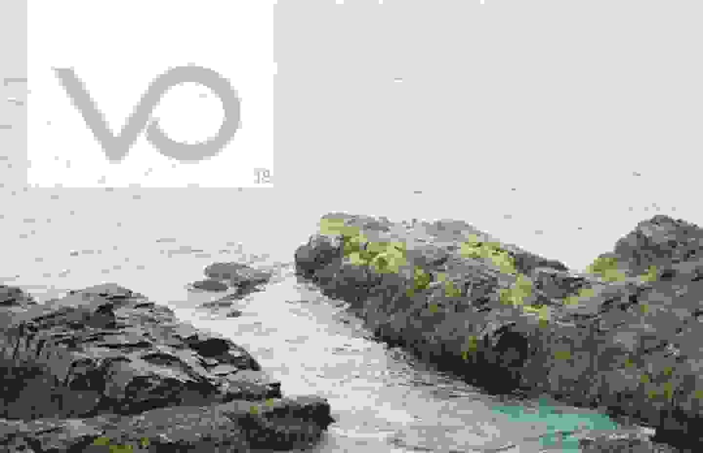 PUblication cover for VO; a photo of a oceanic tide pool
