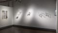 A wall showcasing several glass pane artworks that cast shadows on the wall.