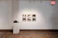 installation shot of framed images and slide projector