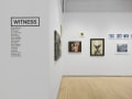 Installation shot of Witness exhibition, entrance view