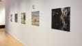 Inside the hallway, a row of photographs depict moments of daily life. The closest print shows a woman caught in the sunlight walking down the street, while others are hidden in shadow.
