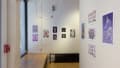 Colorful illustrations hang on the walls outside of the SVA Flatiron Gallery, visible through the windows.