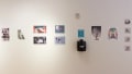 Eight illustrative posters hang along the gallery wall and four smaller illustrations are arranged in a vertical series.
