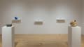 Sculptures rest on wall mounted ledges and standing pedestals in the gallery. 