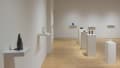 Detailed 3D printed sculptures arranged sporadically on ledges and standing pedestals throughout the gallery space. 