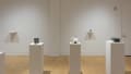 Black and white sculptures displayed on wall mounted ledges and standing pedestals. 
