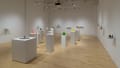 Dynamic 3D printed sculptures displayed along the walls and on standing pedestals throughout the gallery space. 
