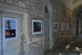 At the entrance of the Romanesque cloister of Saint-Paul de Mausole, several works hang in white frames on a stone wall. The first framed piece is a poster for the exhibition, which is titled "Vincent, from the roots to the stars."