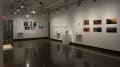 Multiple views of a gallery, illustration work is hung on the walls, there are shelves throughout the galleries with books, and there is an installation piece of images hung above a table and two chairs.