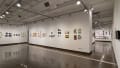 Multiple views of SVA Chelsea Gallery. There is illustrations and paintings hung on the walls. There are multiple shelves throughout the gallery with books places on them.