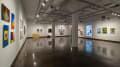Multiple views of SVA Chelsea Gallery. There are photographs hung on the wall, installations and projections throughout the gallery. 