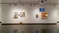 Multiple views of SVA Chelsea Gallery. There are photographs hung on the wall, installations and projections throughout the gallery. 