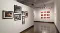 Multiple views of SVA Chelsea Gallery. There are photographs hung on the wall, installations and projections throughout the gallery. 