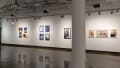 Multiple views of SVA Chelsea Gallery. There are photographs hung on the wall, installations and projections throughout the gallery. 