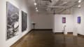 Multiple views of SVA Chelsea Gallery with sculpture, painting, installation and video. 