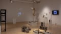 A photograph of "Darwin's Paradox: A Decade of Bio Art" exhibition at SVA Flatiron Gallery, featuring work by BFA Fine Arts students, alumni and visiting artists.