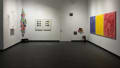 Installation image featuring mushroom and bark sculptural wall installations; a large horizontal painting in blue, yellow, and red; two framed prints; two clear plastic sculptures hanging; and brightly-colored geometric shapes in the corner.