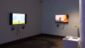 Installation image featuring one monitor along the left wall, one on the right wall, and a pedestal in the foreground.