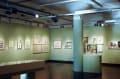 Photograph of gallery space with green walls and many framed illustrations, along with a large vitrine in the center of the room.