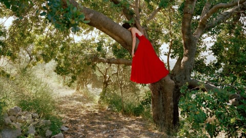 Lara on the tree in her red dress, Koura, Lebanon
