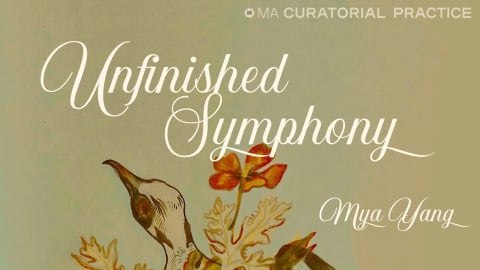 Drawing of a bird and flower with a hand with the words "Unfinished Symphony" over it in white script