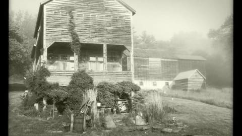 A old wood building with green plants near it.