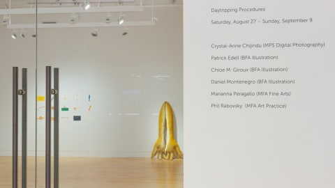 Photograph outside of gallery space displaying artist names and "Daytripping Procedures" exhibition title.